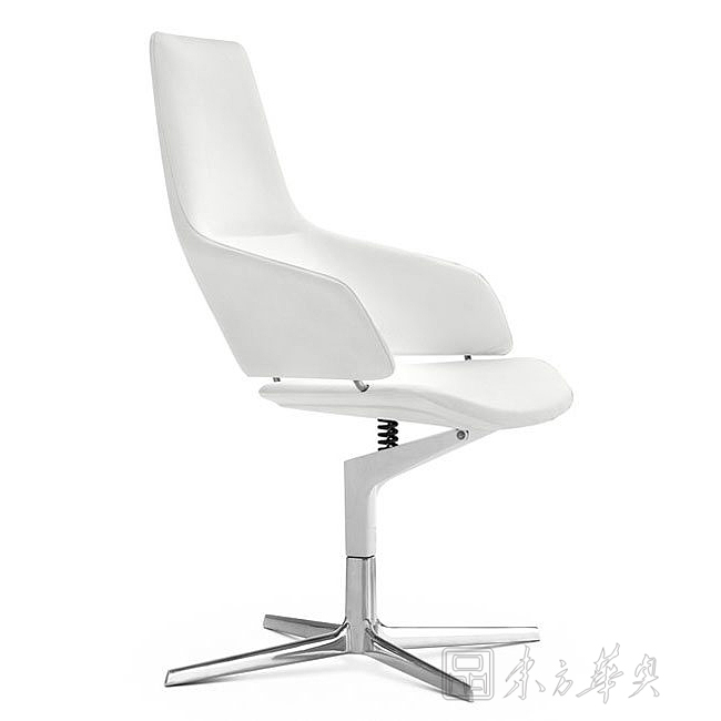 Modern Chair|Office Chair|Office Furniture||��Ƥ�����Σ�����Σ������Σ������Σ�ְԱ�� CG-Aston